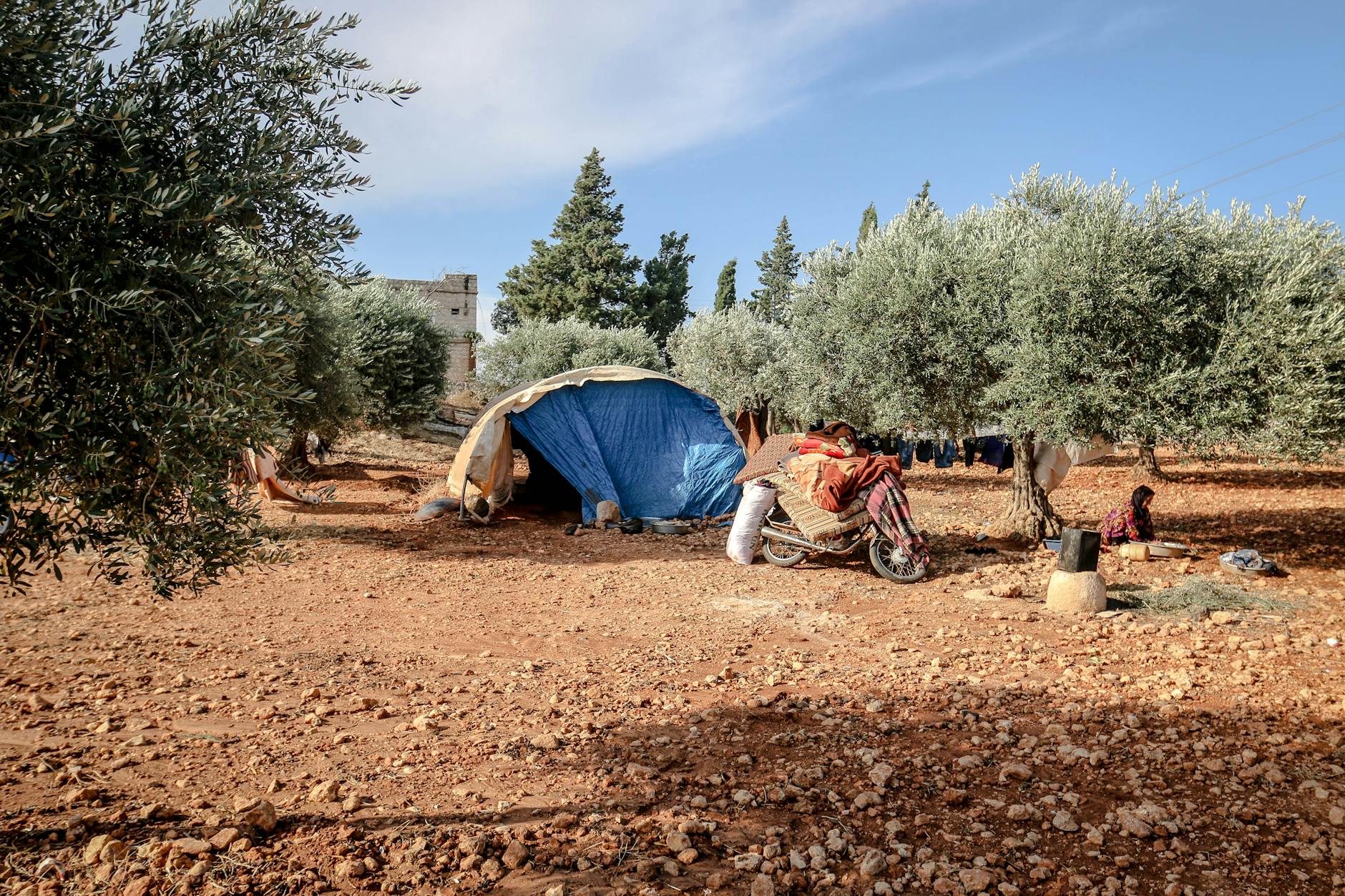 Settlement Amounts: What Realistic Recovery Looks Like