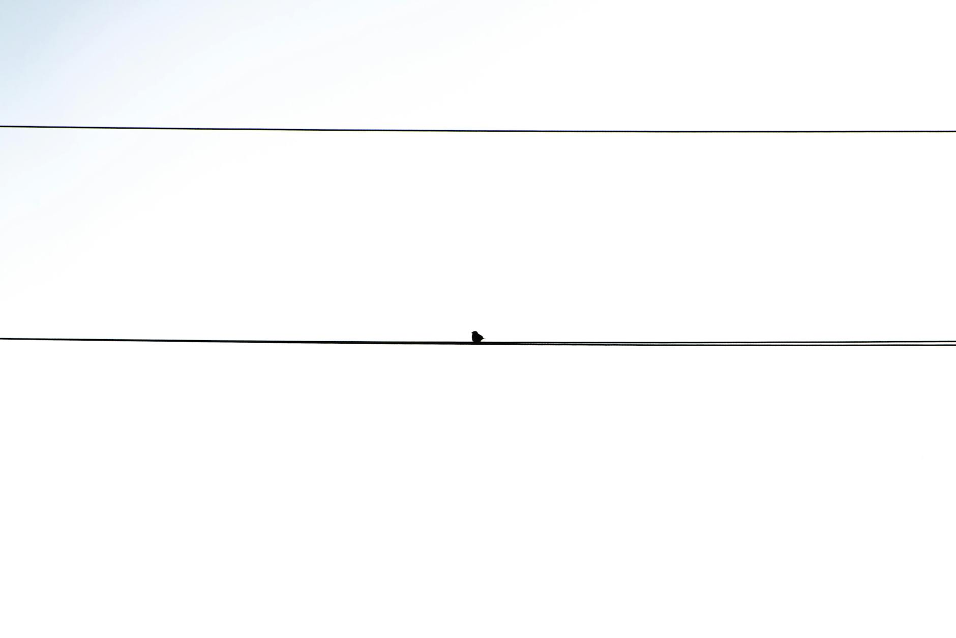 Arizona's DUI Penalties and How They Affect Your Case