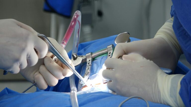 What Does A Spinal Cord Injury Lawyer Do - Featured image