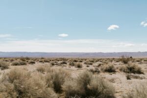 What Does A Wrongful Death Lawyer Do In California - Featured image