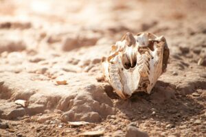 What Is The Difference Between Wrongful Death And Survival Actions - Featured image