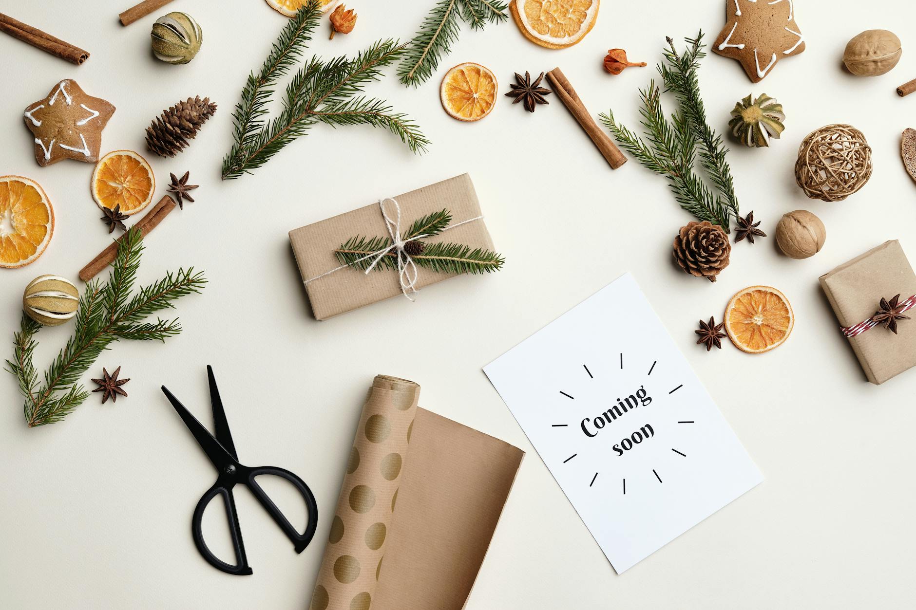 Who Has Legal Standing to Sue and Receive Wrongful Death Damages?