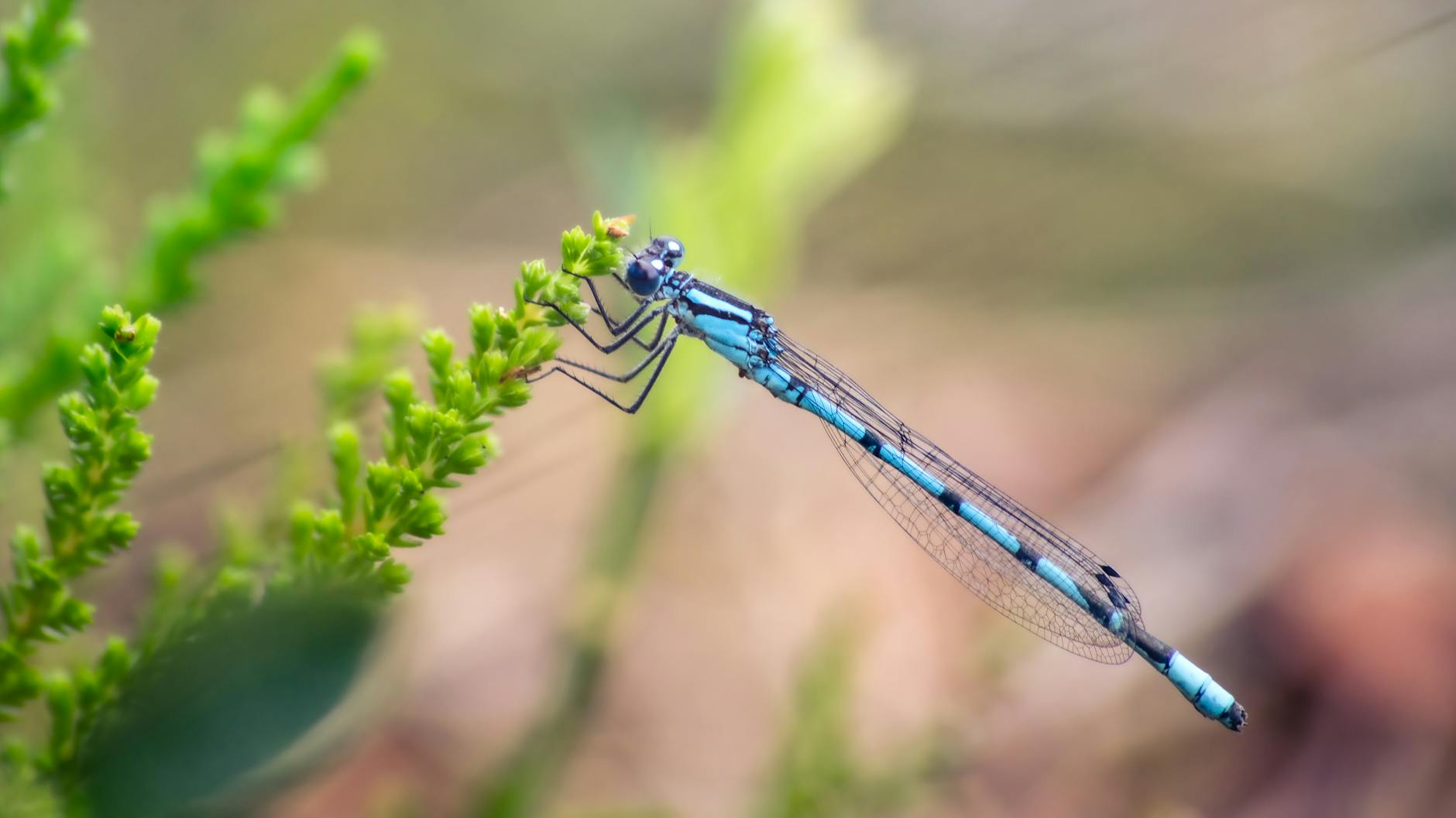 Common Pitfalls That Can Undermine a Discrimination Claim