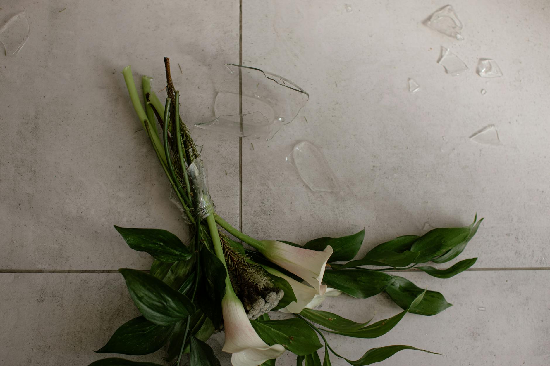 Crime Scene Investigation and Accident Reconstruction