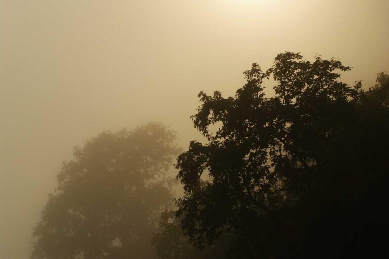 Do Truck Accident Cases Go To Trial Often - Featured image