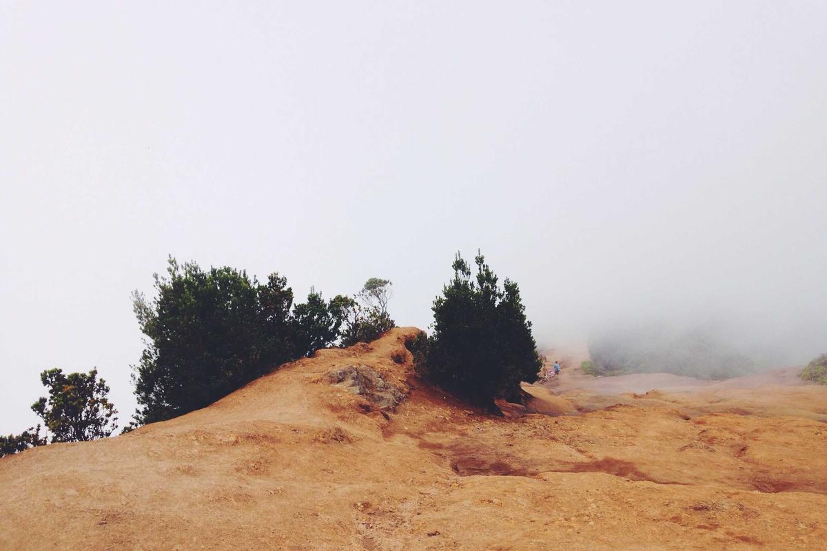 ETHICAL OBLIGATIONS AND PROFESSIONAL ACCOUNTABILITY