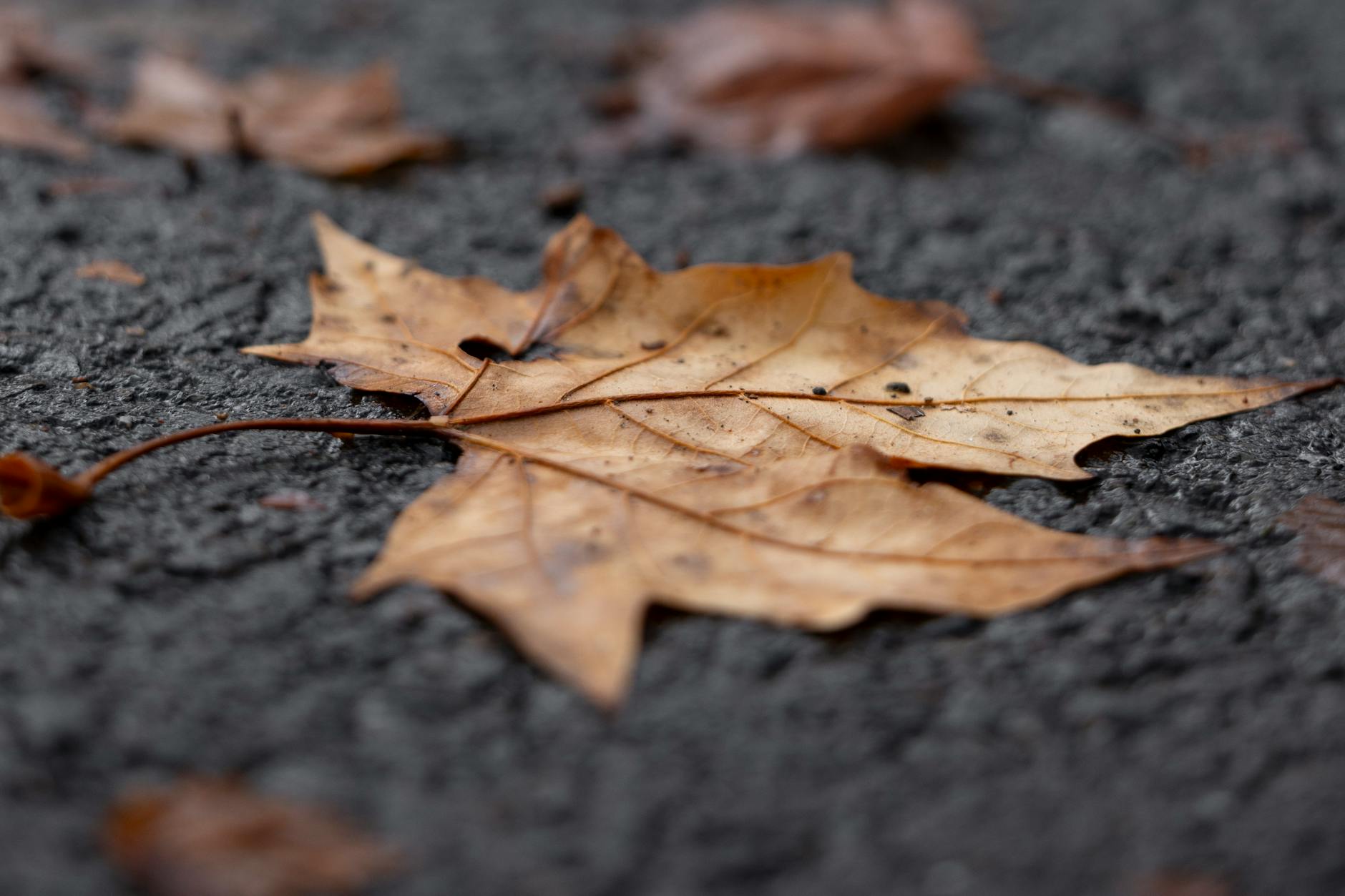 How Does a Slip and Fall Injury Claim Work?