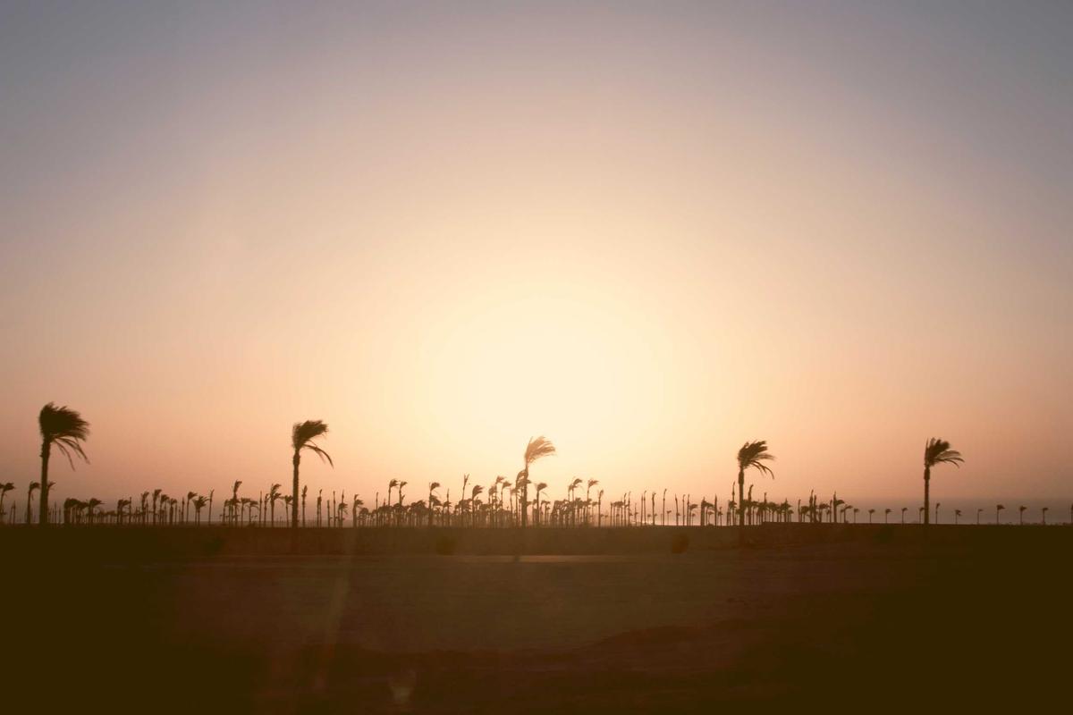 How Negligence Per Se Doctrine Turns Regulatory Violations into Automatic Liability