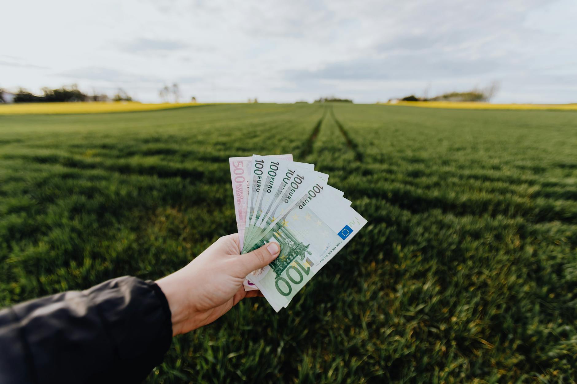 Lost Income and Future Earning Capacity