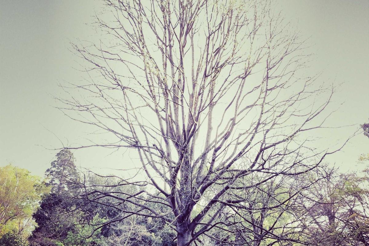 Recent Award Examples Show Rising Damage Awards for Catastrophic Injuries