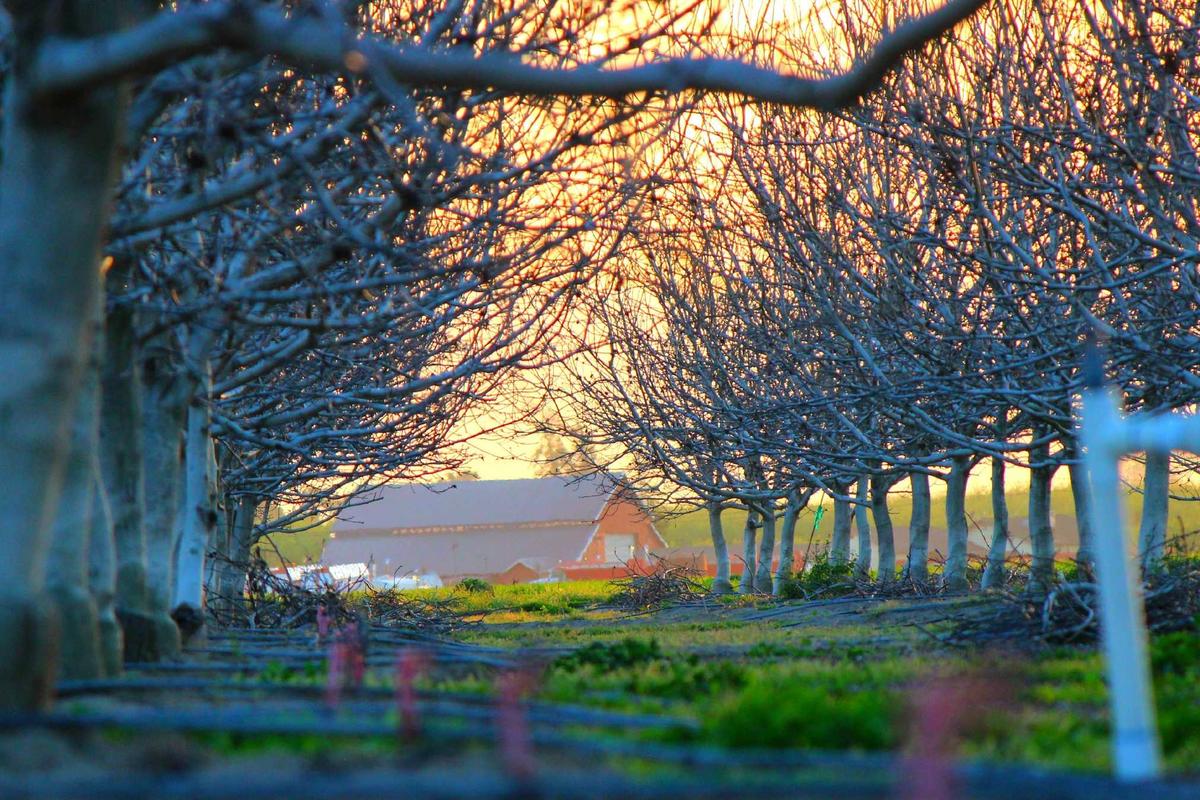 The Cost Question: Contingency Fees and When They Make Sense