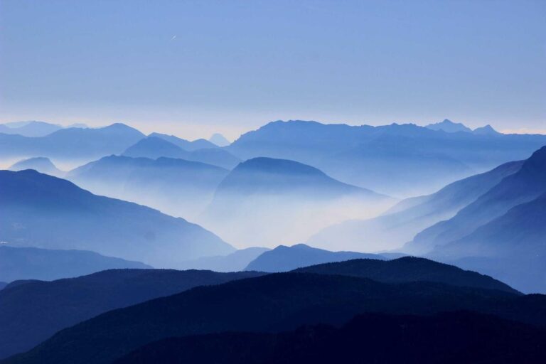 What Does A Employment Lawyer Do In California - Featured image