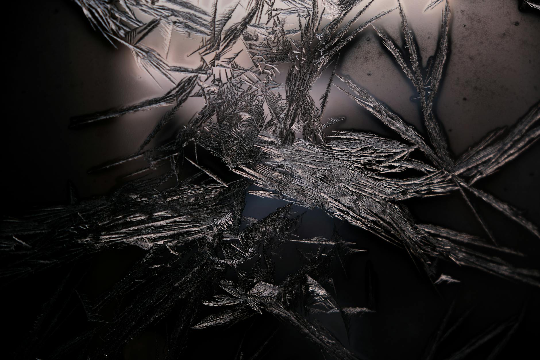 What Elements Must You Prove to Establish Negligence in a Car Accident?
