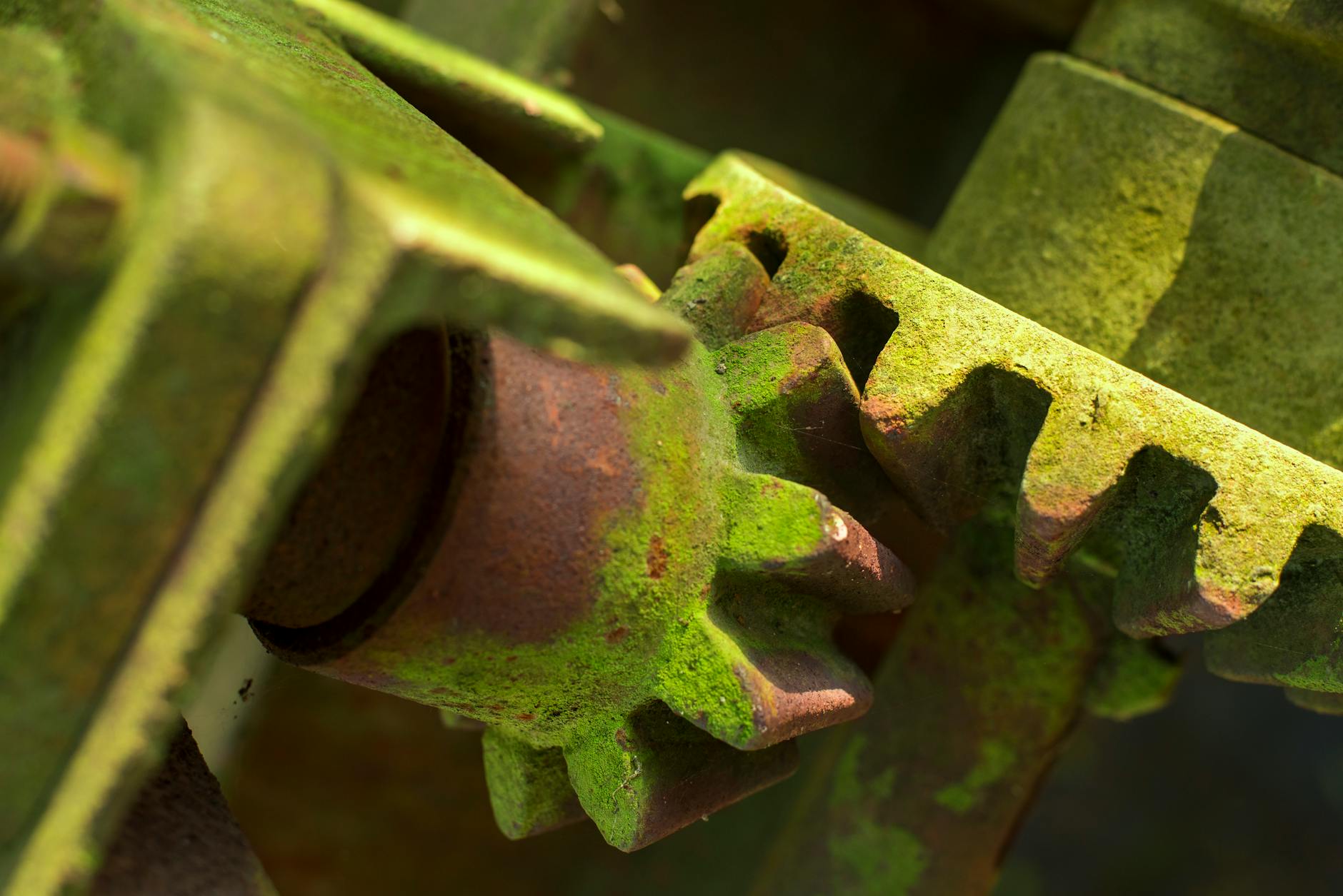 What Factors Drive Wrongful Death Settlement Amounts?
