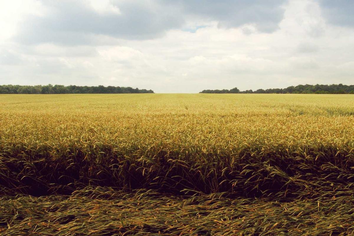 What Separates Average Settlements from High-Value Verdicts?