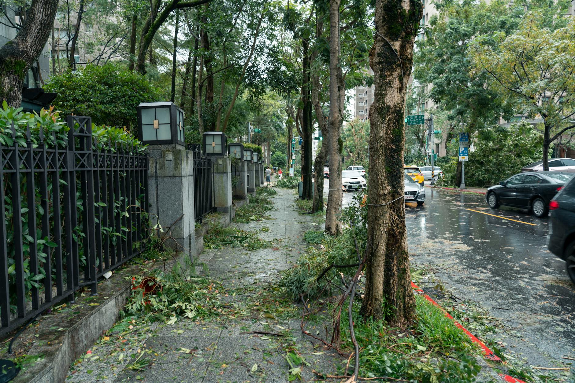 Types of General Damages You May Claim