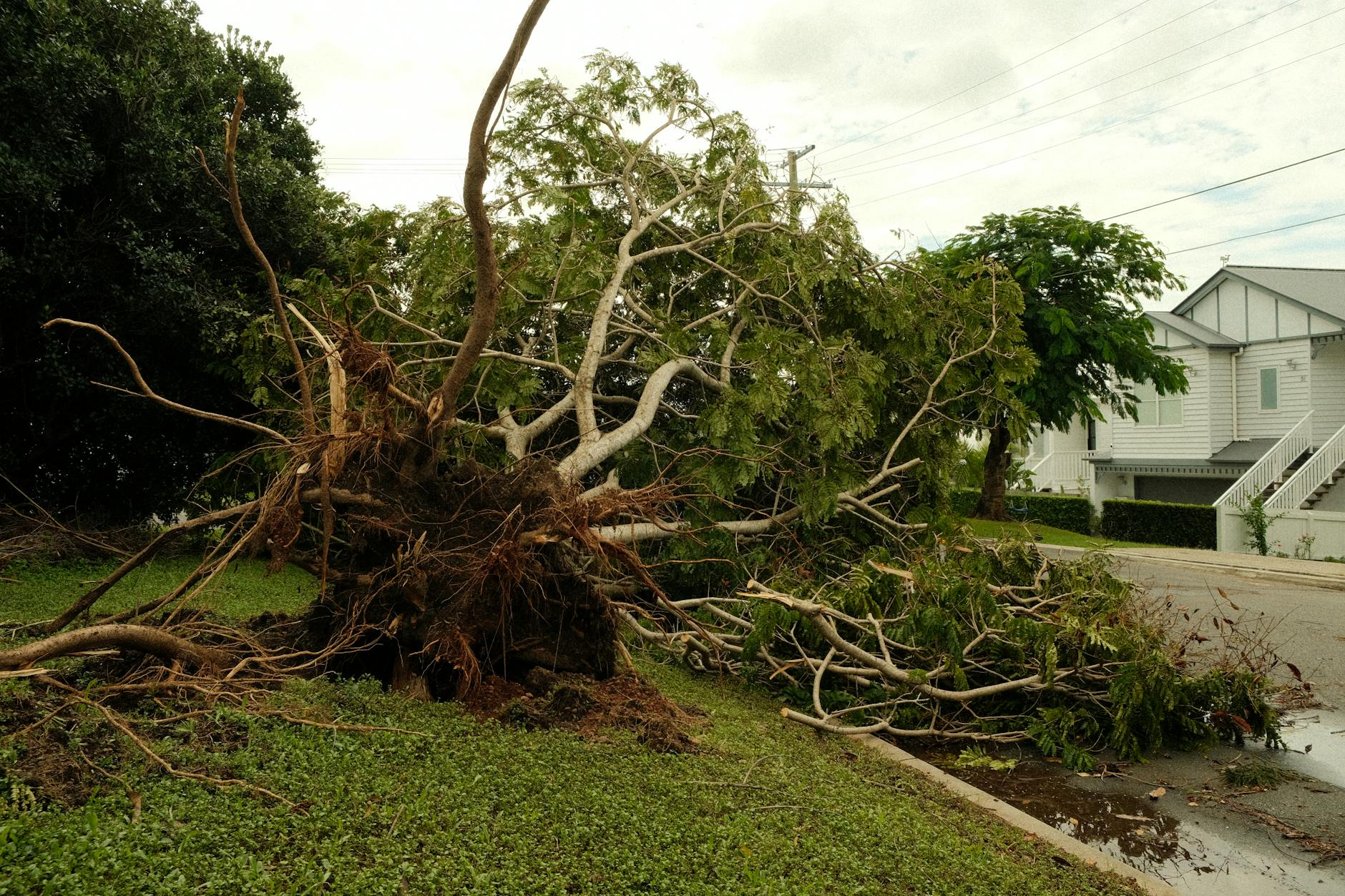 What Are Statutory Damages - Featured image