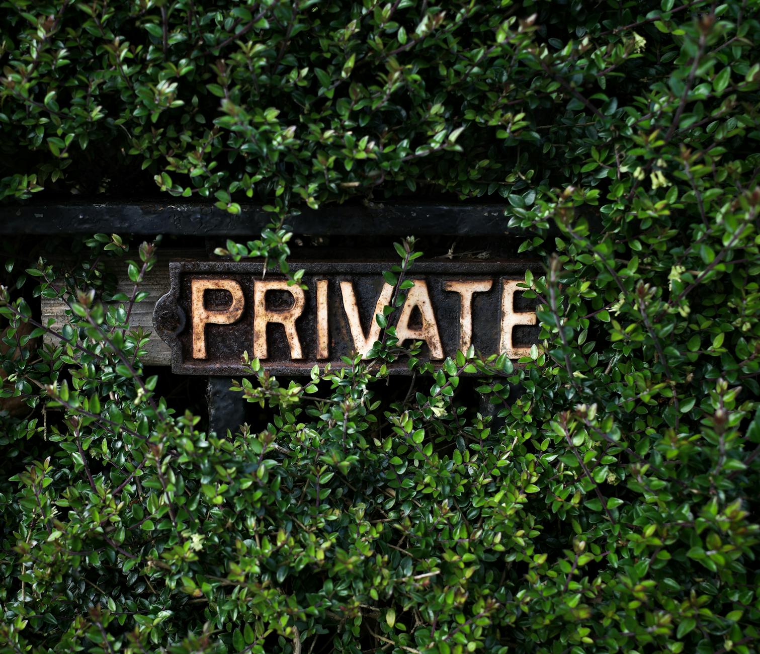 What Hidden Costs and Lifetime Expenses Do Settlements Account For?