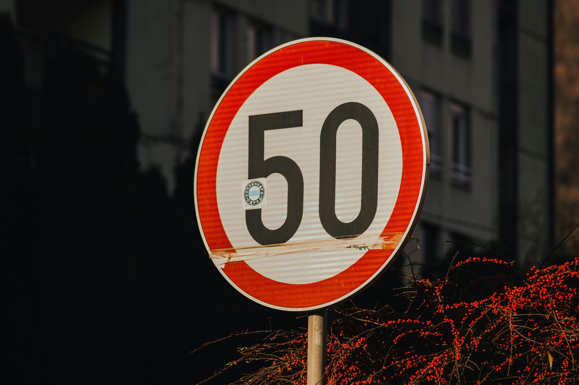 What Limits and Challenges Exist Within the Arbitration System?