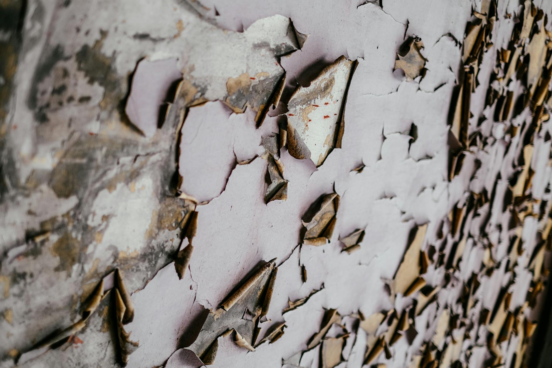 What Types of Damages Can You Recover in a Lead Poisoning Case?