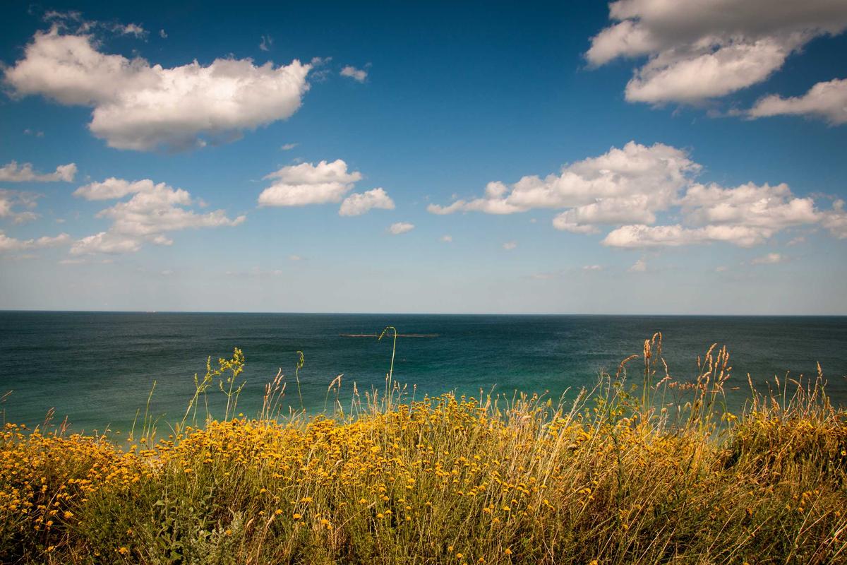 Why Settlements Often Underestimate Long-Term Impact