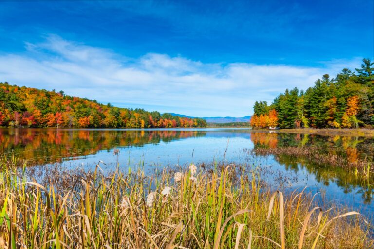 New Hampshire Faces Abuse Lawsuit: Expert Testimony Reveals Welfare System Failures - Featured image