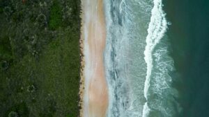 Florida Beach Bar Lease Settlement Rejected by City Officials - Featured image