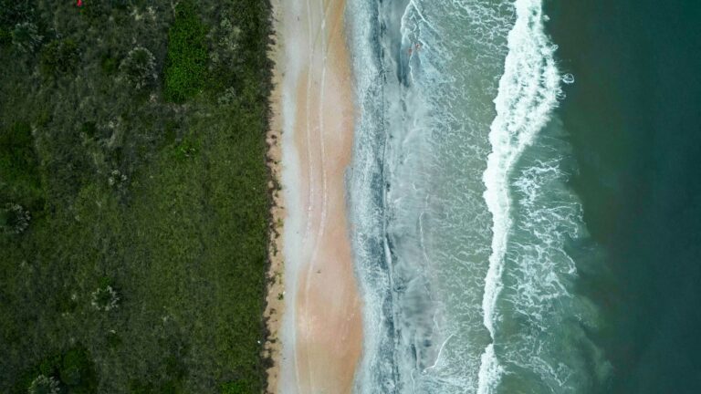 Florida Beach Bar Lease Settlement Rejected by City Officials - Featured image