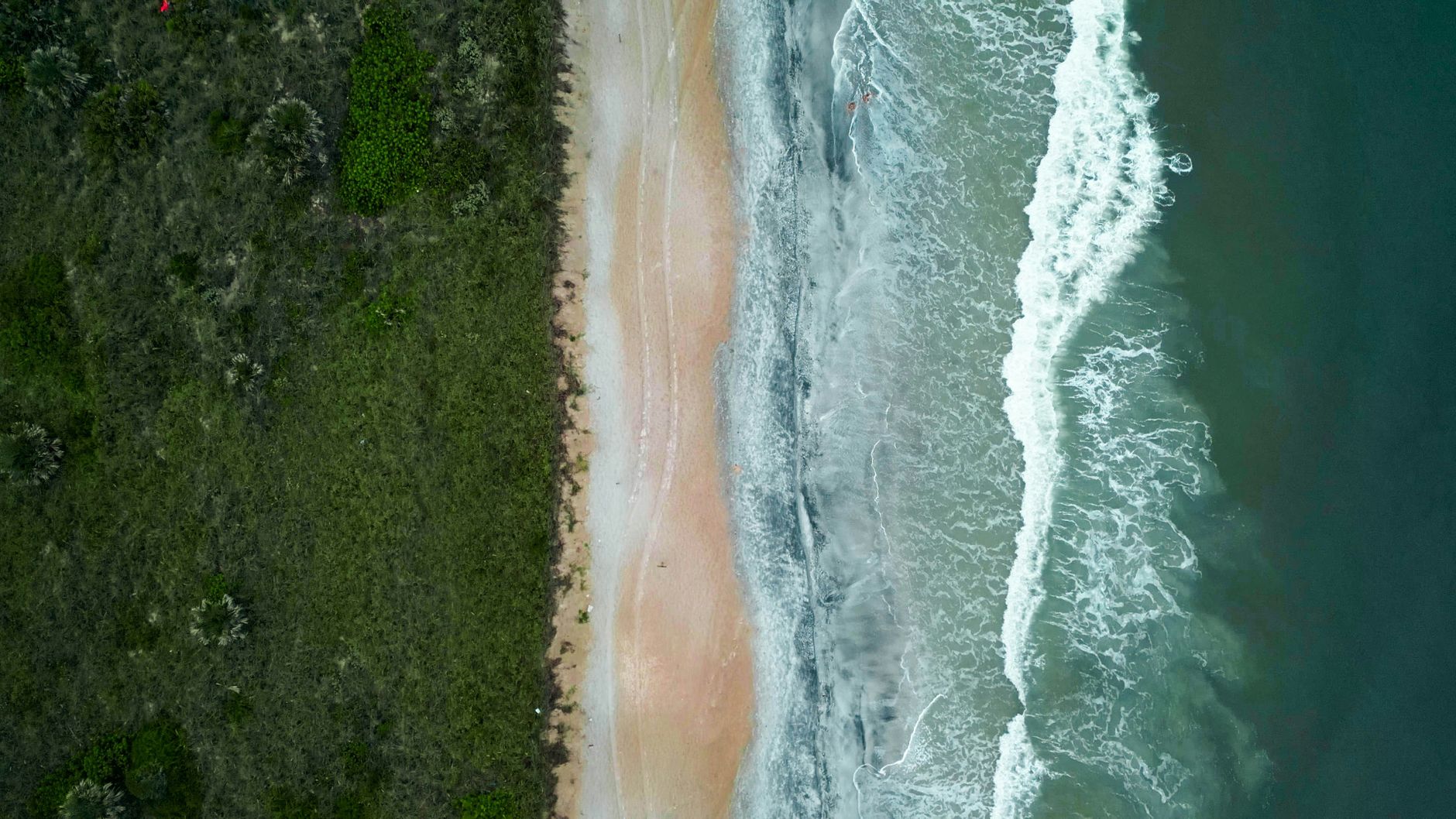 Florida Beach Bar Lease Settlement Rejected by City Officials - Featured image