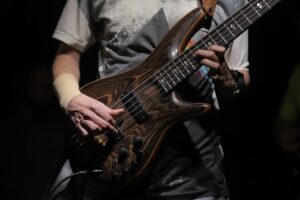 Musician ordered to pay $13 million in pet injury verdict - Featured image