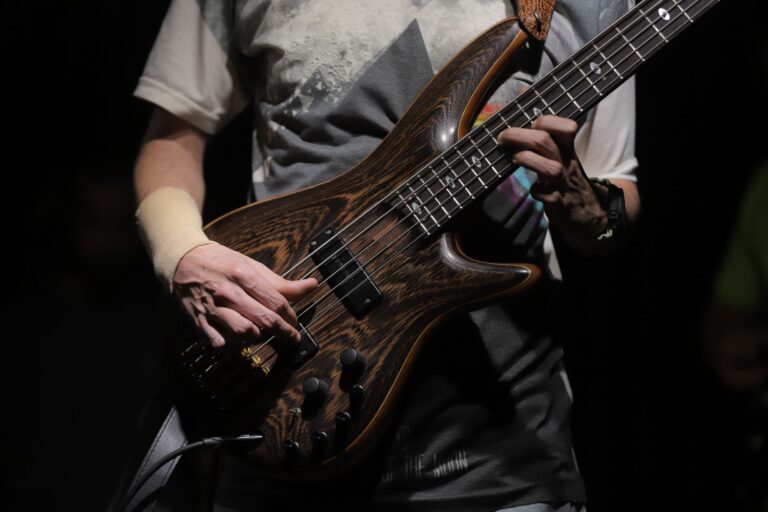 Musician ordered to pay $13 million in pet injury verdict - Featured image