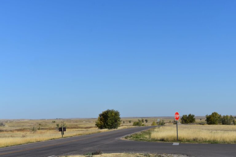 South Dakota Secures Major Settlement with Roblox Over Digital Child Protection - Featured image