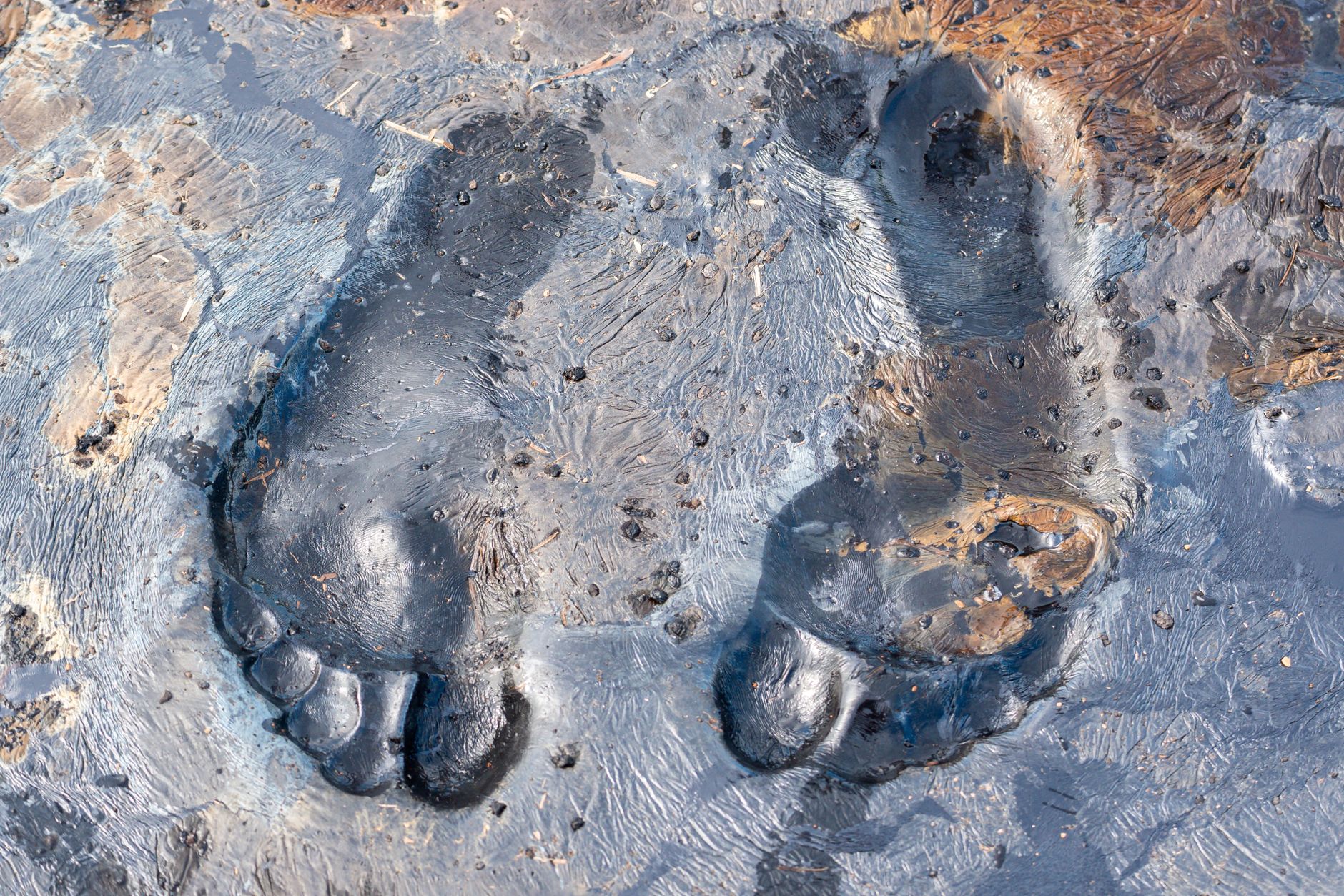 Dr. Squatch Settlement: How Purchase Records Affect Your Potential Payment - Featured image